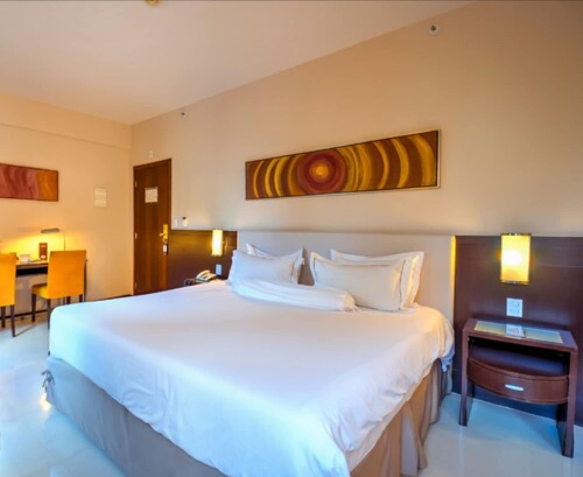 Royal Boutique Savassi Hotel Μπέλο Οριζόντε Εξωτερικό φωτογραφία A room at the hotel